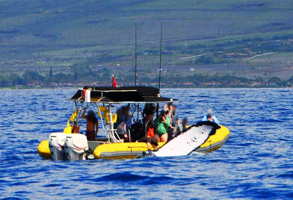 27 Ft Rigid Hull Inflatable 